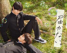 射精支配究極主観JOI海报剧照