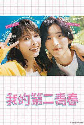 赘婿樱花海报剧照