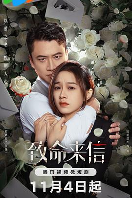 我的空姐老婆海报剧照